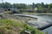 Acton, MA