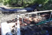 gas main repair with cofferdam