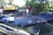 gas main repair with cofferdam
