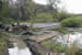 Stockbridge, MI